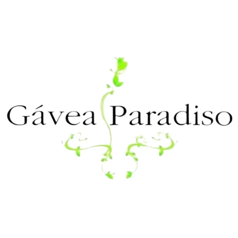 Logo de cliente de Vigilância